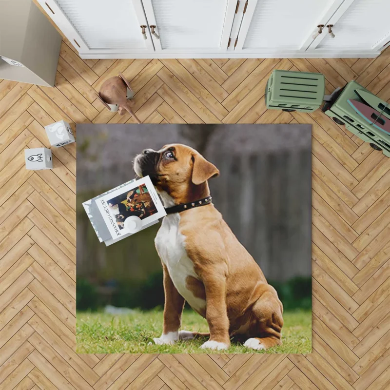 Adorable Boxer Puppy: Boxer Floor Rug