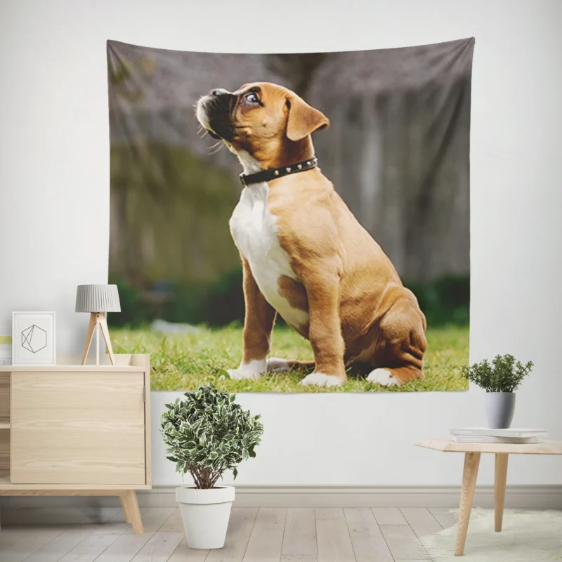 Adorable Boxer Puppy  Boxer Wall Tapestry