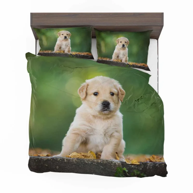 Adorable Canine Cuteness: Labrador Puppy Quartet Bedding Set 1