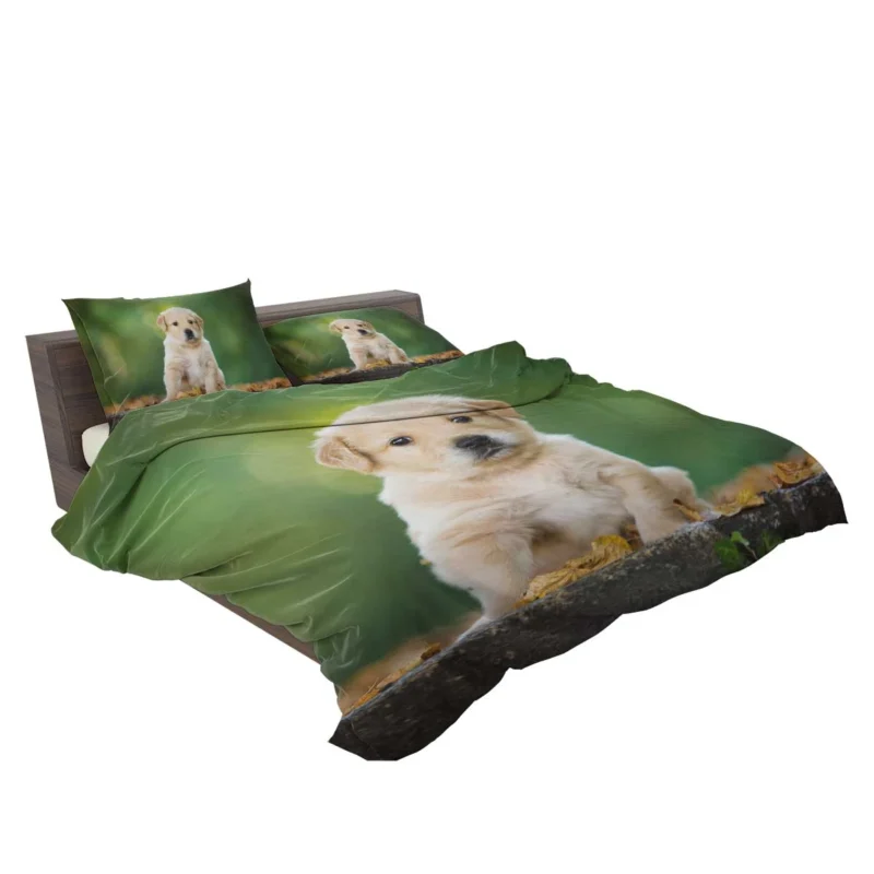 Adorable Canine Cuteness: Labrador Puppy Quartet Bedding Set 2