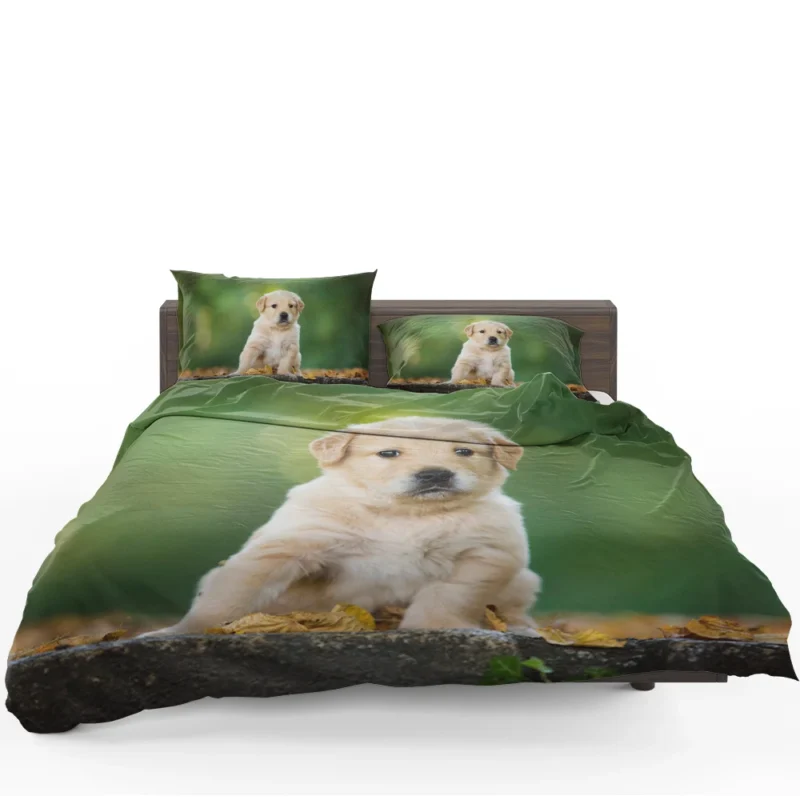 Adorable Canine Cuteness: Labrador Puppy Quartet Bedding Set