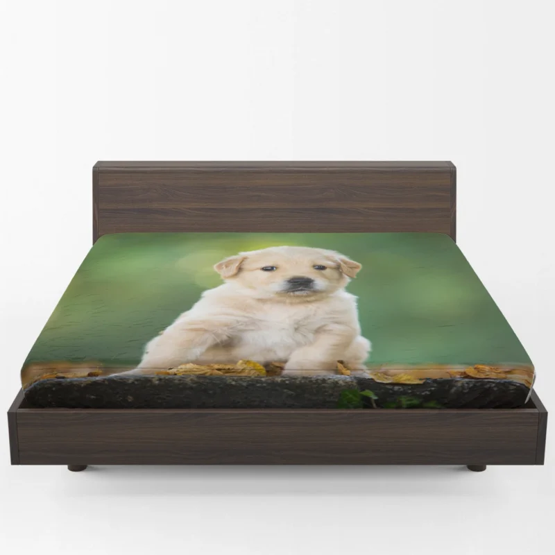 Adorable Canine Cuteness: Labrador Puppy Quartet Fitted Sheet 1