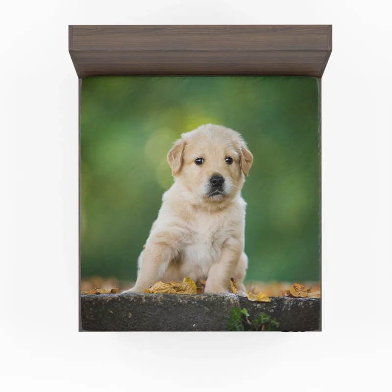 Adorable Canine Cuteness: Labrador Puppy Quartet Fitted Sheet