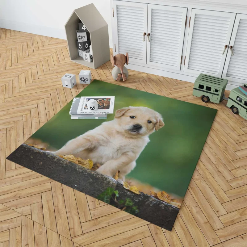 Adorable Canine Cuteness: Labrador Puppy Quartet Floor Rug 1