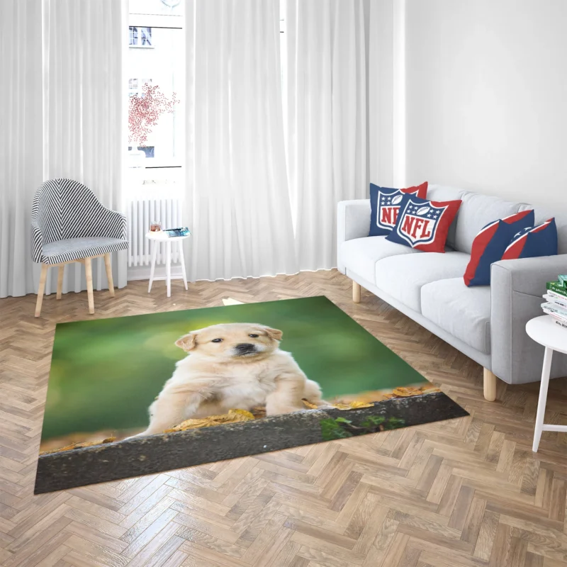 Adorable Canine Cuteness: Labrador Puppy Quartet Floor Rug 2