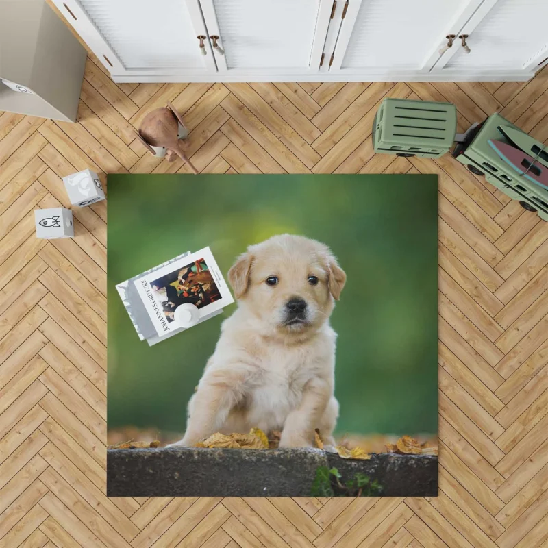 Adorable Canine Cuteness: Labrador Puppy Quartet Floor Rug