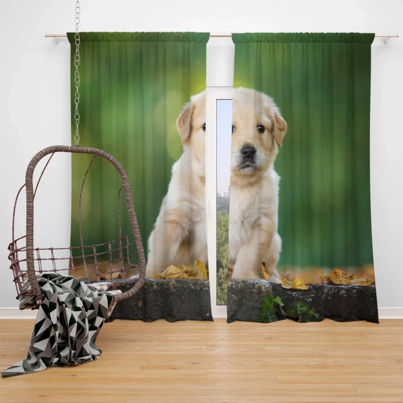 Adorable Canine Cuteness: Labrador Puppy Quartet Window Curtain