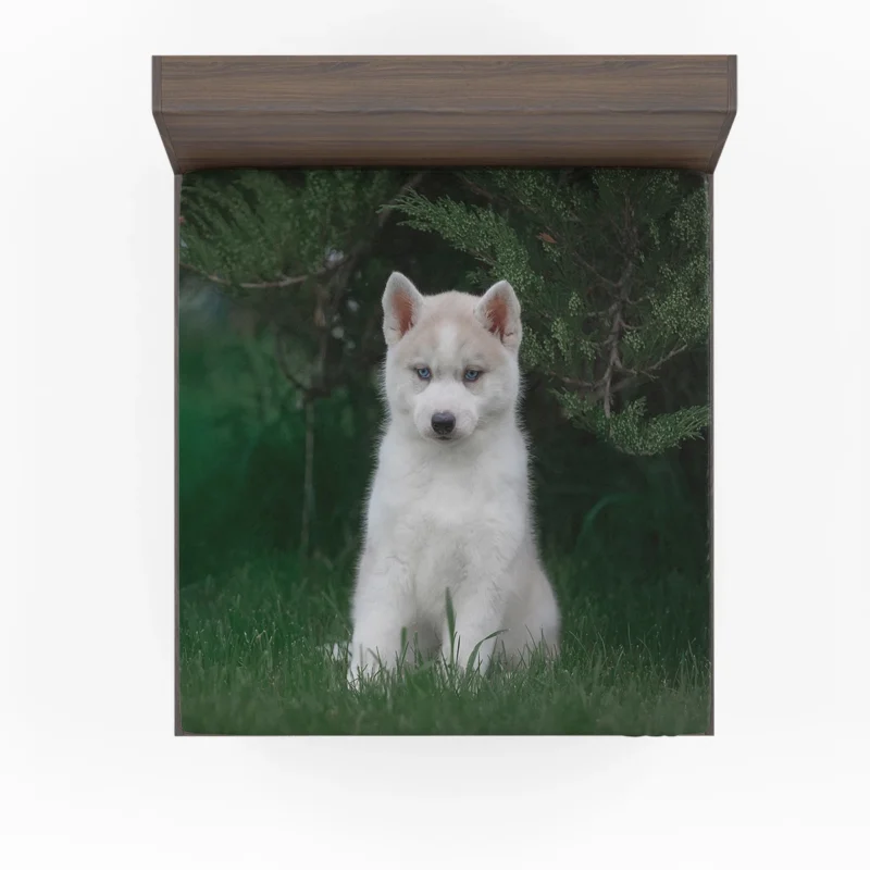 Adorable Canines: Precious Husky Puppy Quartet Fitted Sheet