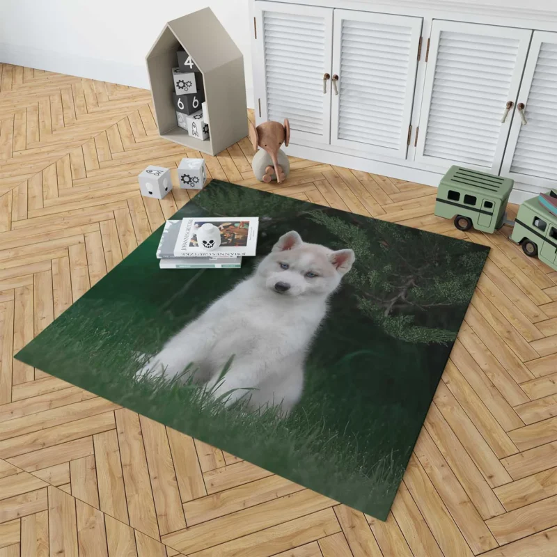 Adorable Canines: Precious Husky Puppy Quartet Floor Rug 1