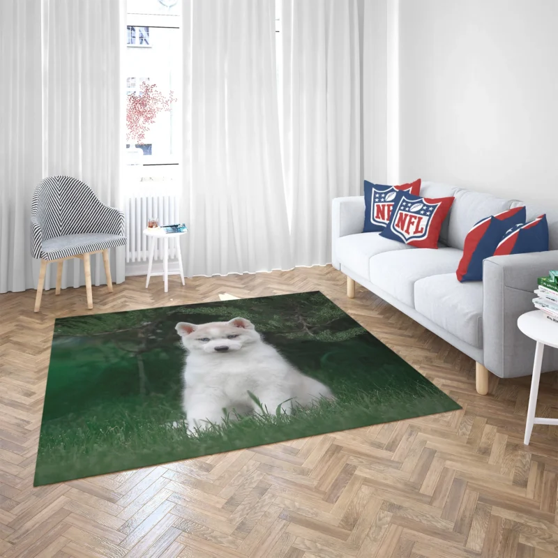 Adorable Canines: Precious Husky Puppy Quartet Floor Rug 2