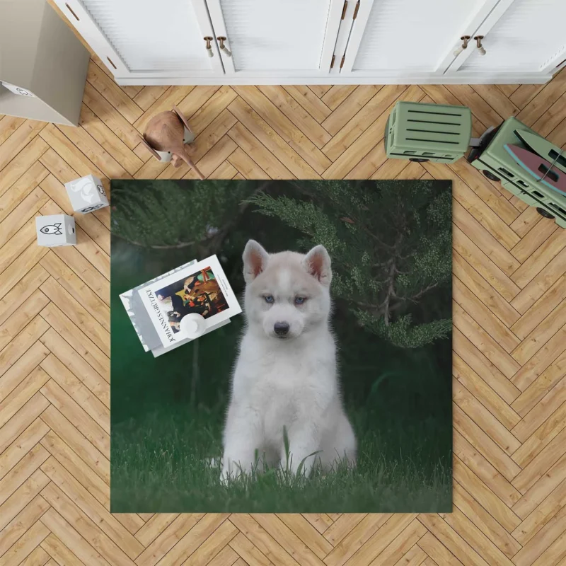 Adorable Canines: Precious Husky Puppy Quartet Floor Rug