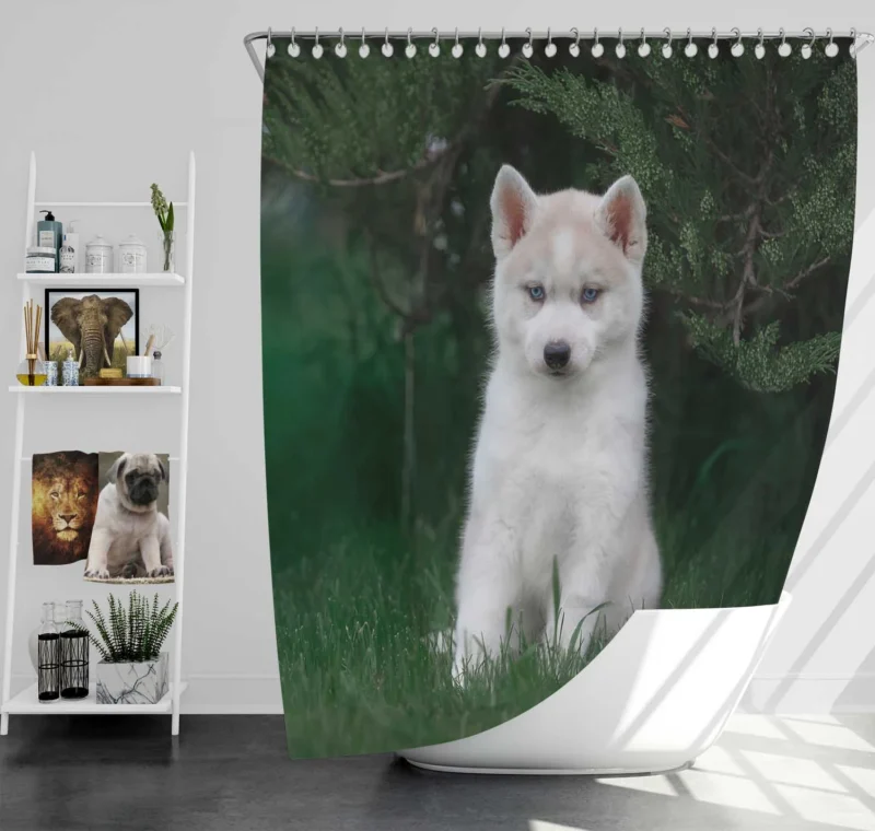 Adorable Canines: Precious Husky Puppy Quartet Shower Curtain