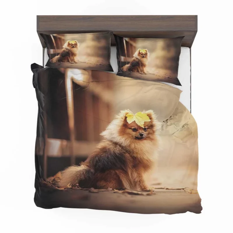 Adorable Charm: Papillon Puppy Quartet Bedding Set 1