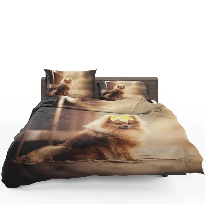 Adorable Charm: Papillon Puppy Quartet Bedding Set