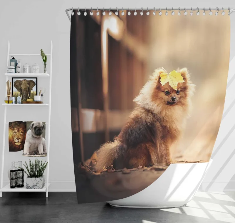 Adorable Charm: Papillon Puppy Quartet Shower Curtain