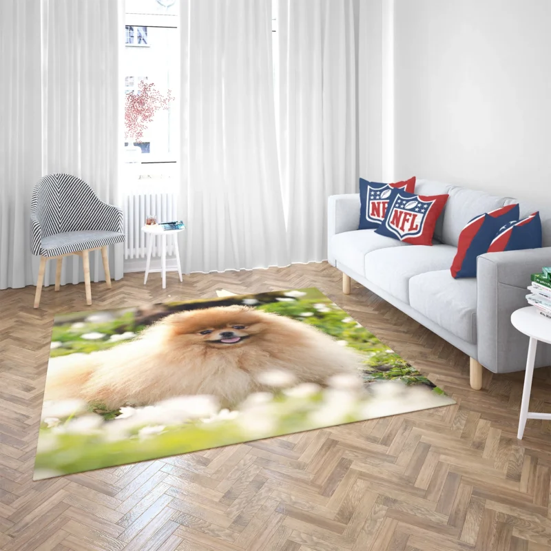 Adorable Charm: Pomeranian Quartet Floor Rug 2