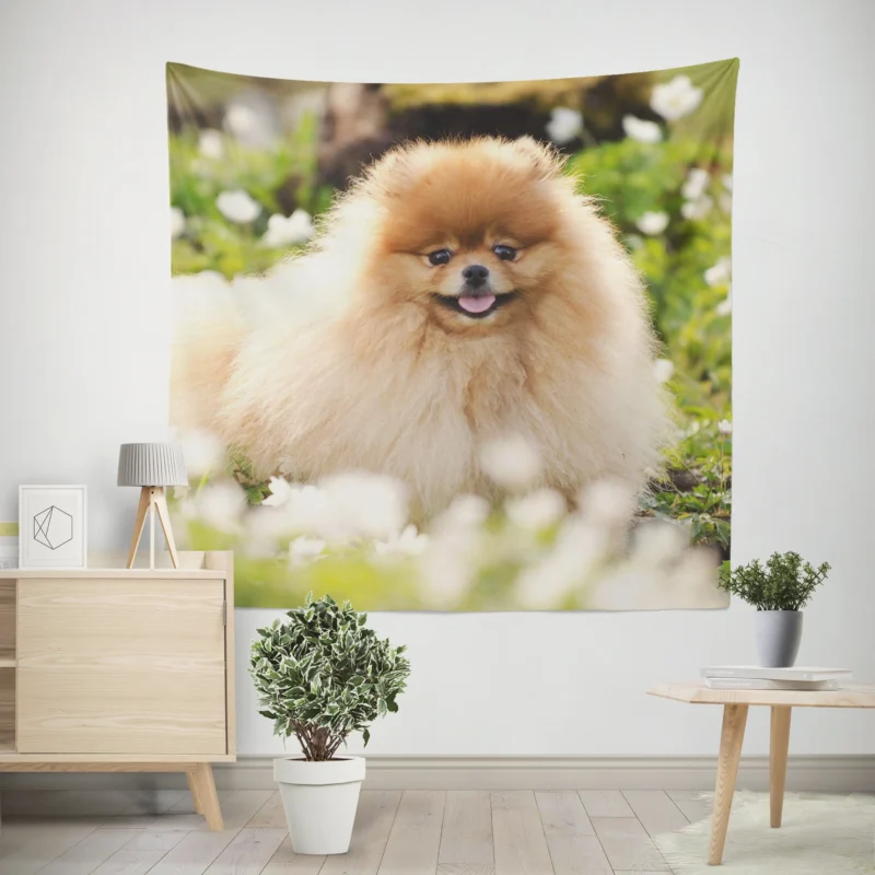 Adorable Charm  Pomeranian Quartet Wall Tapestry