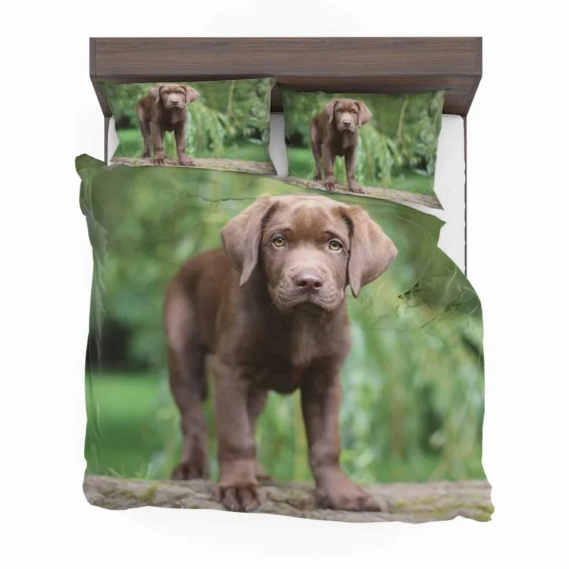 Adorable Companions: Chocolate Lab Puppy Quartet Bedding Set 1