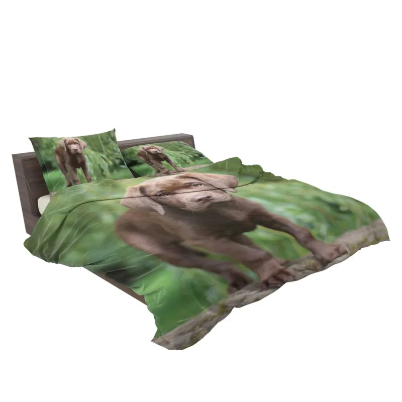 Adorable Companions: Chocolate Lab Puppy Quartet Bedding Set 2