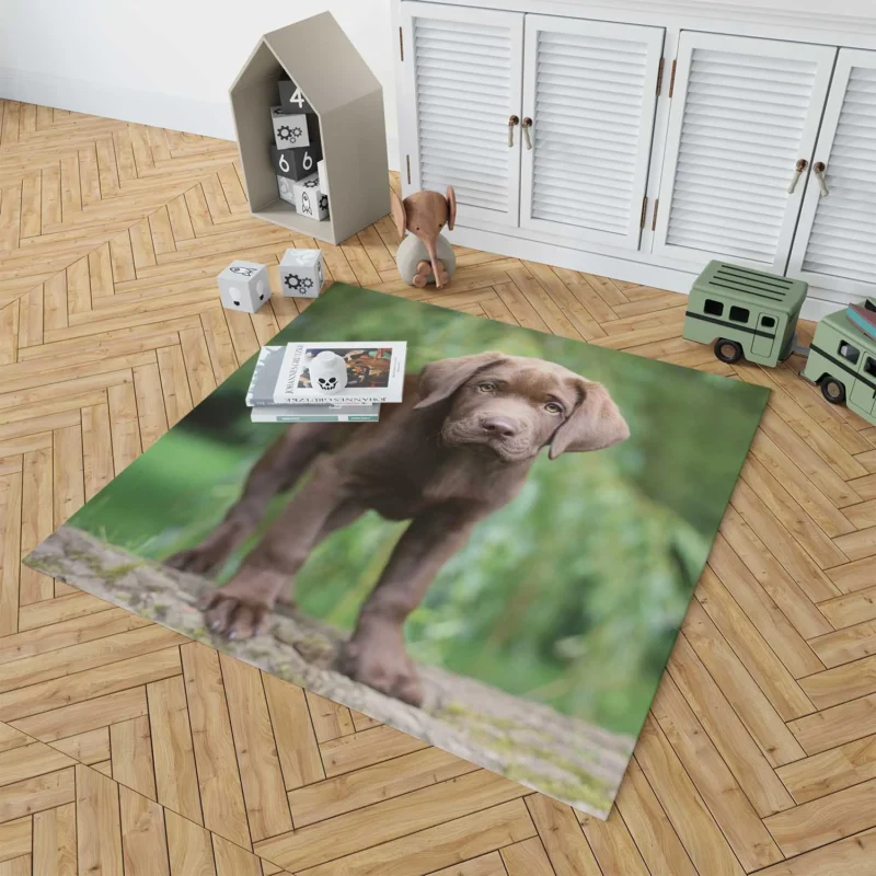 Adorable Companions: Chocolate Lab Puppy Quartet Floor Rug 1