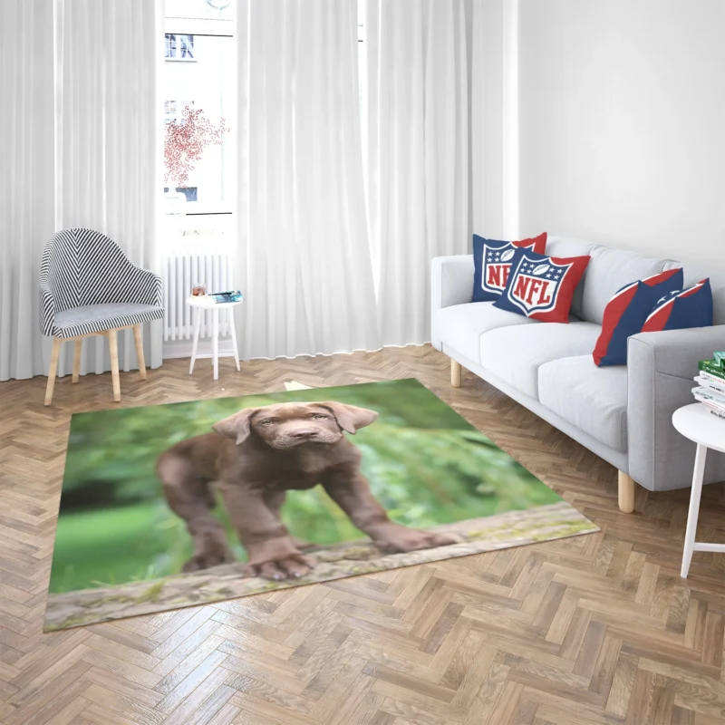 Adorable Companions: Chocolate Lab Puppy Quartet Floor Rug 2