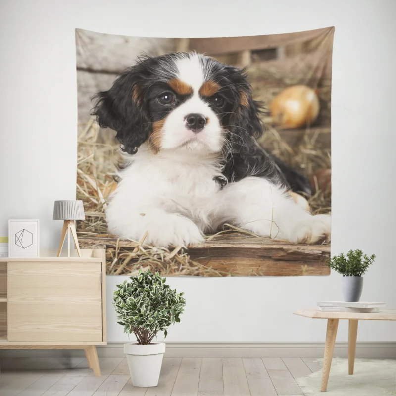 Adorable Quartet  Cavalier King Charles Spaniel Puppies Wall Tapestry