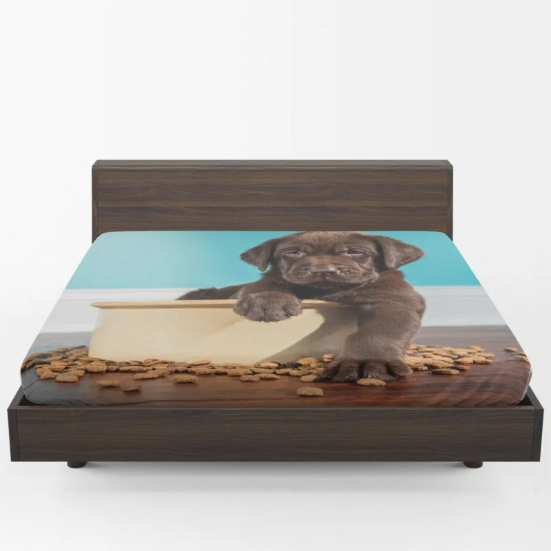 Adorable Quartet: Chocolate Labrador Puppies Fitted Sheet 1