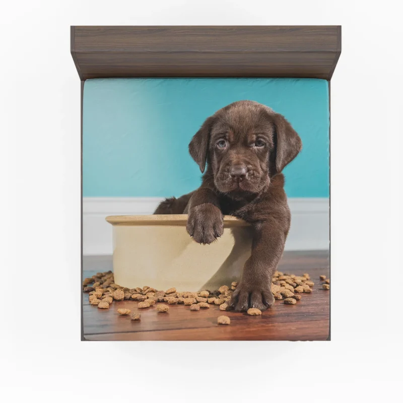 Adorable Quartet: Chocolate Labrador Puppies Fitted Sheet