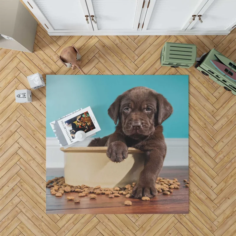 Adorable Quartet: Chocolate Labrador Puppies Floor Rug