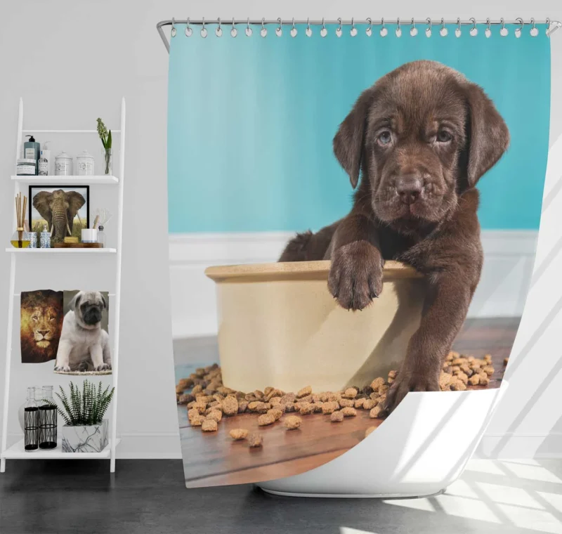 Adorable Quartet: Chocolate Labrador Puppies Shower Curtain