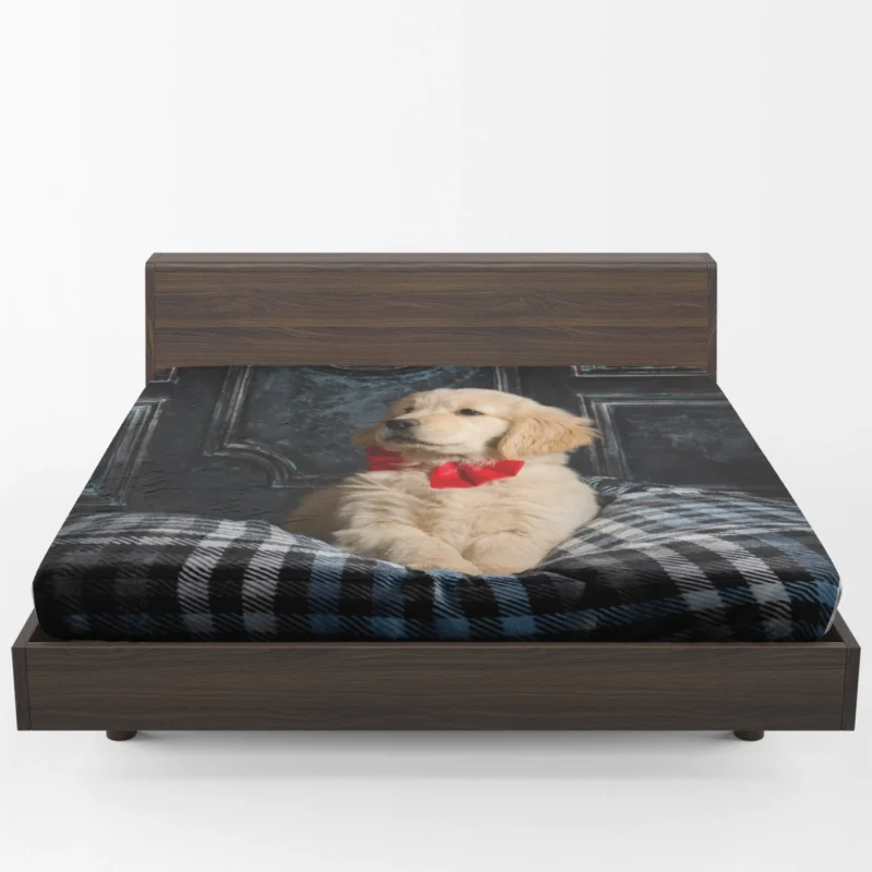 Adorable Quartet: Golden Retriever Puppies Fitted Sheet 1