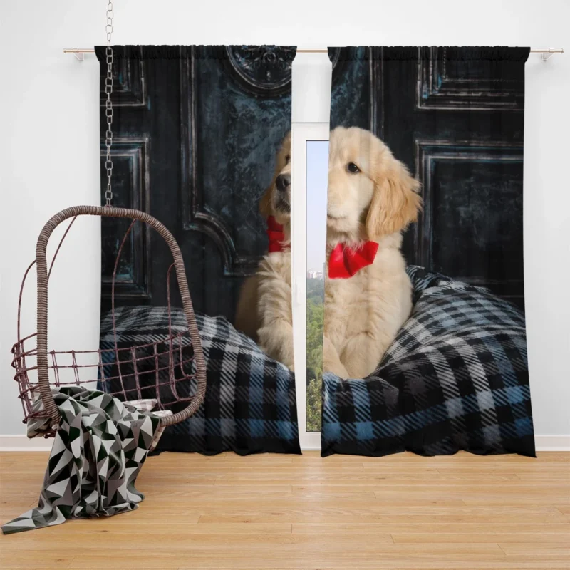 Adorable Quartet: Golden Retriever Puppies Window Curtain