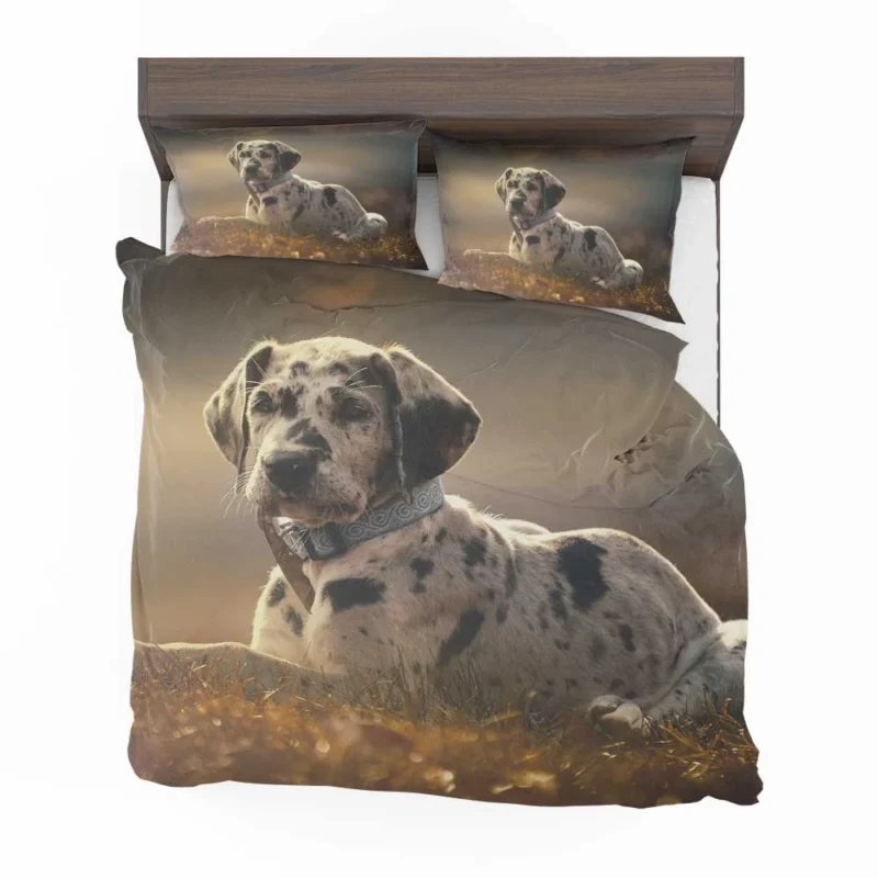 Adorable Quartet: Great Dane Puppies in Fog Bedding Set 1