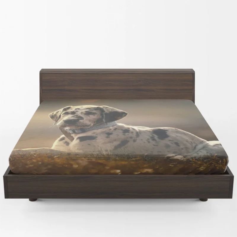 Adorable Quartet: Great Dane Puppies in Fog Fitted Sheet 1