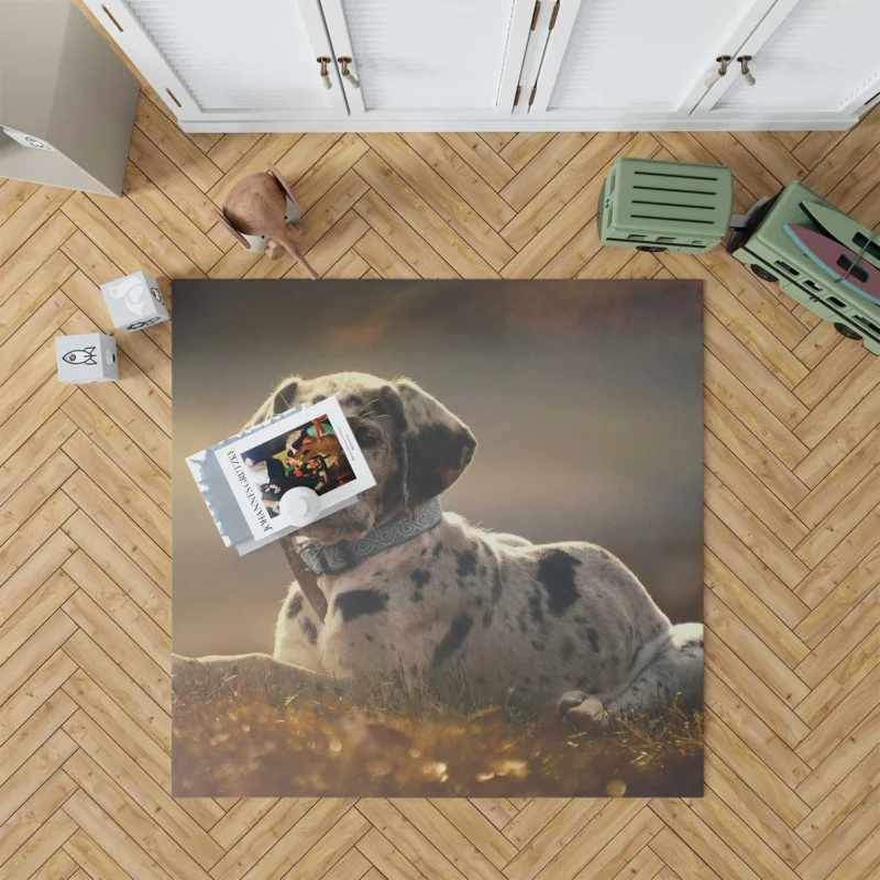 Adorable Quartet: Great Dane Puppies in Fog Floor Rug