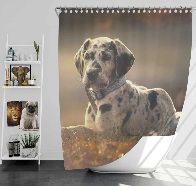 Adorable Quartet: Great Dane Puppies in Fog Shower Curtain