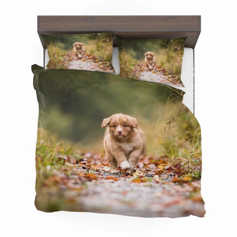 Adorable Quartet: Nova Scotia Duck Tolling Retriever Puppies Bedding Set 1