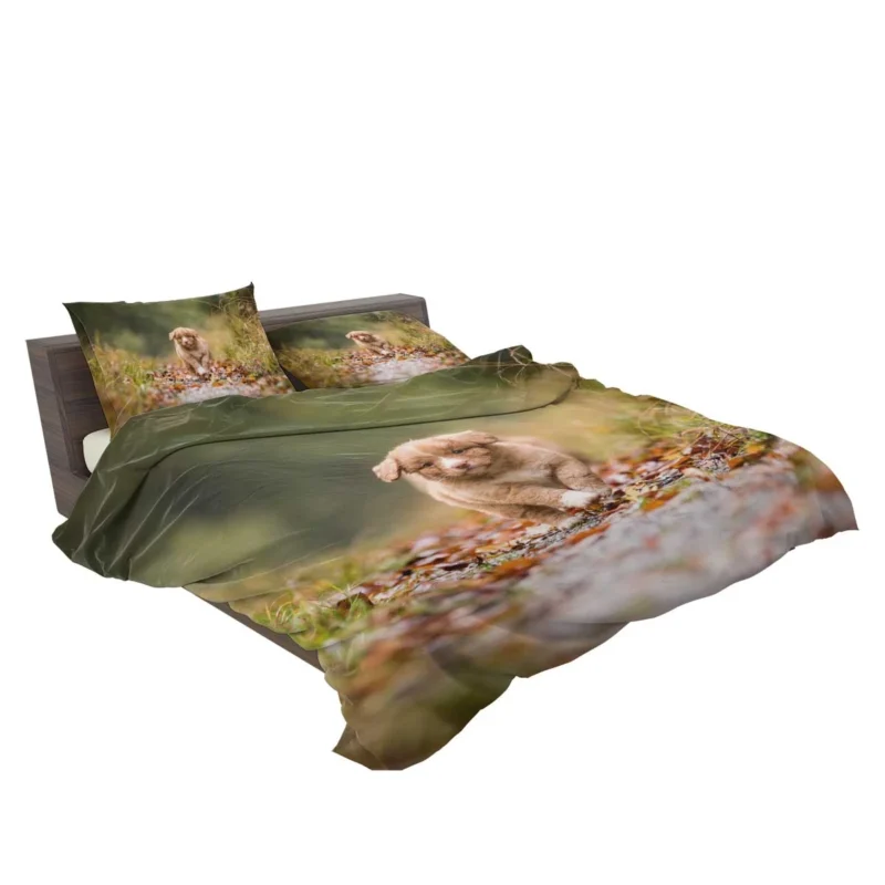 Adorable Quartet: Nova Scotia Duck Tolling Retriever Puppies Bedding Set 2