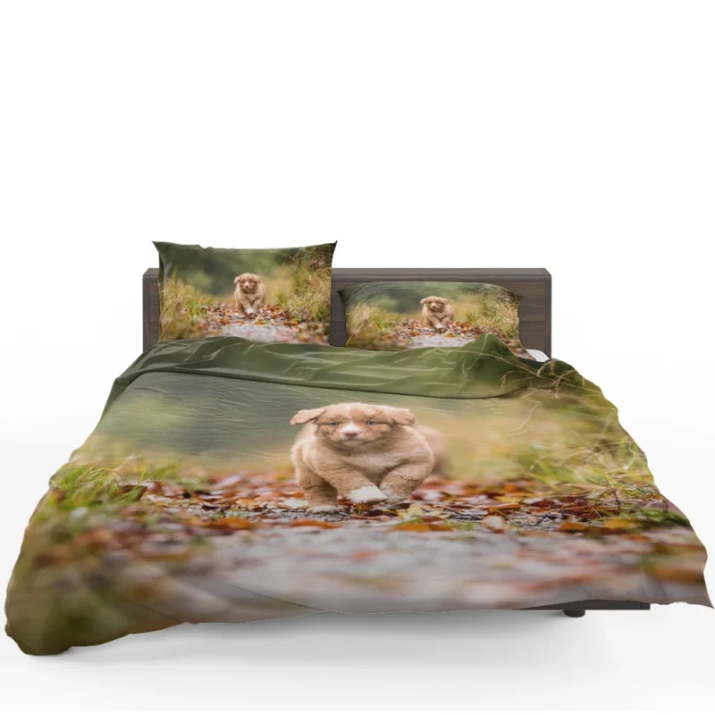 Adorable Quartet: Nova Scotia Duck Tolling Retriever Puppies Bedding Set