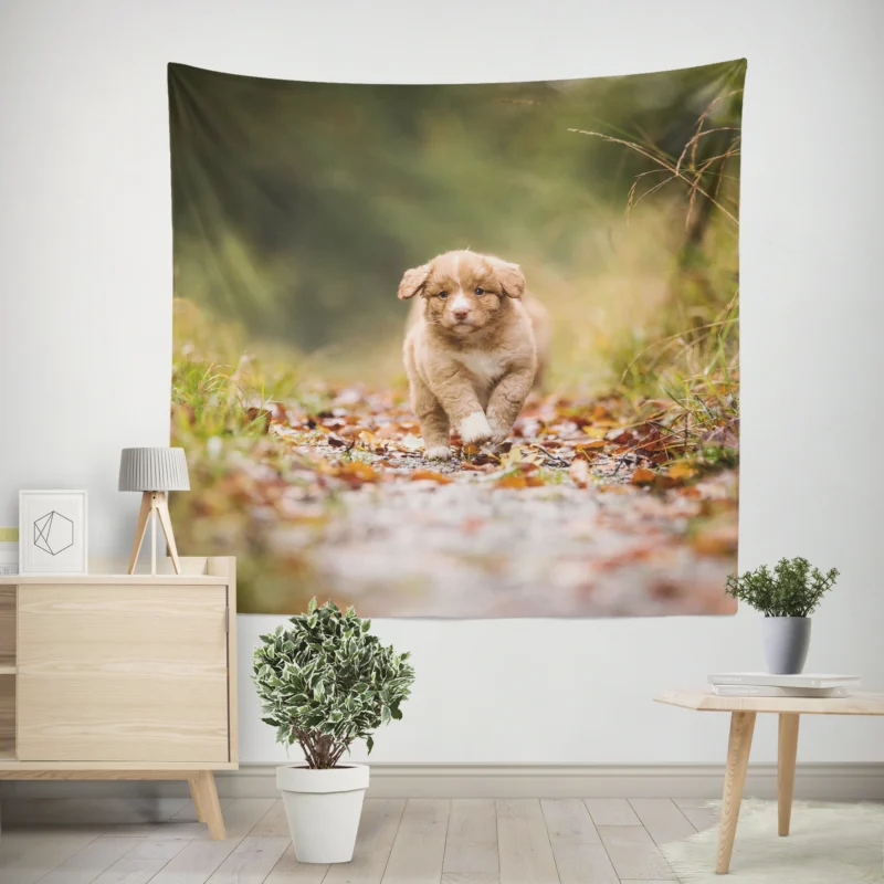 Adorable Quartet  Nova Scotia Duck Tolling Retriever Puppies Wall Tapestry