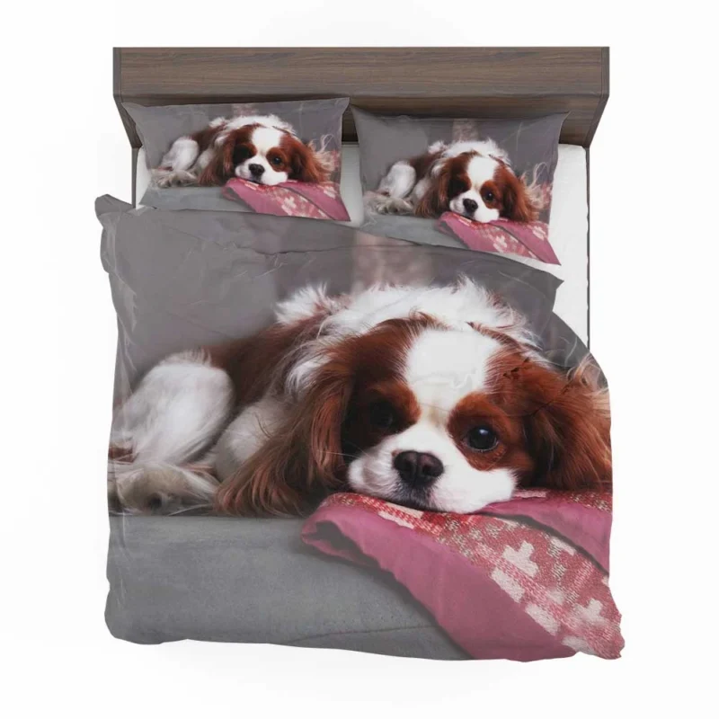 Adorable Quartet of Puppies: King Charles Spaniels Bedding Set 1