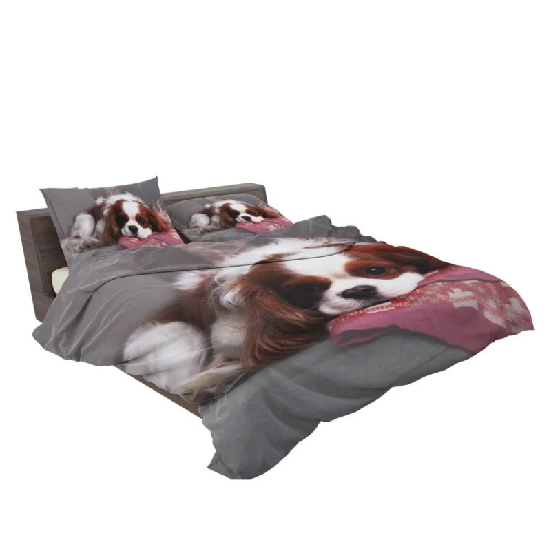 Adorable Quartet of Puppies: King Charles Spaniels Bedding Set 2