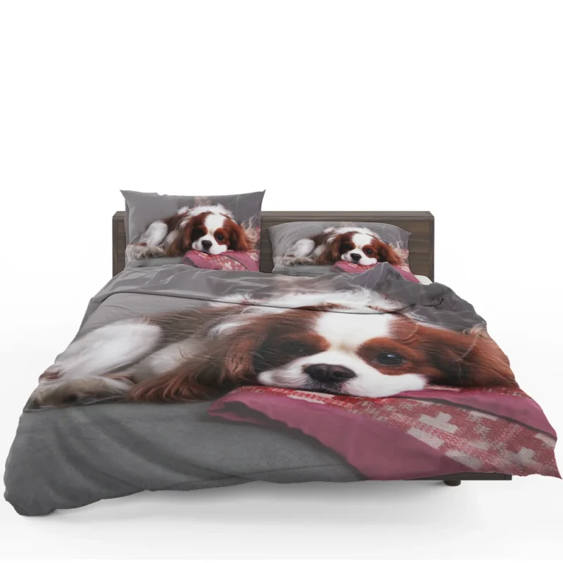 Adorable Quartet of Puppies: King Charles Spaniels Bedding Set