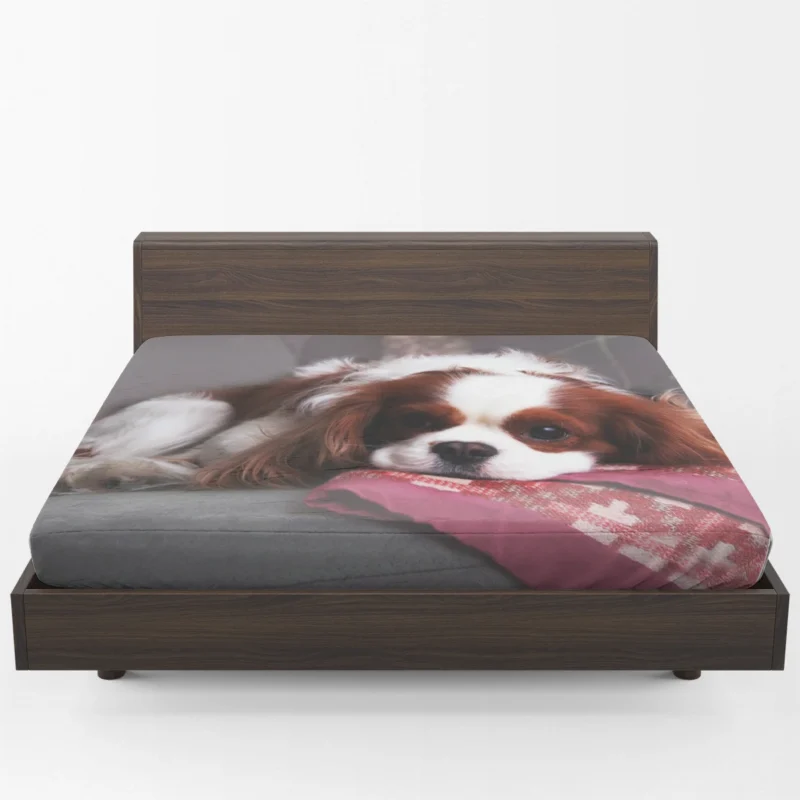 Adorable Quartet of Puppies: King Charles Spaniels Fitted Sheet 1