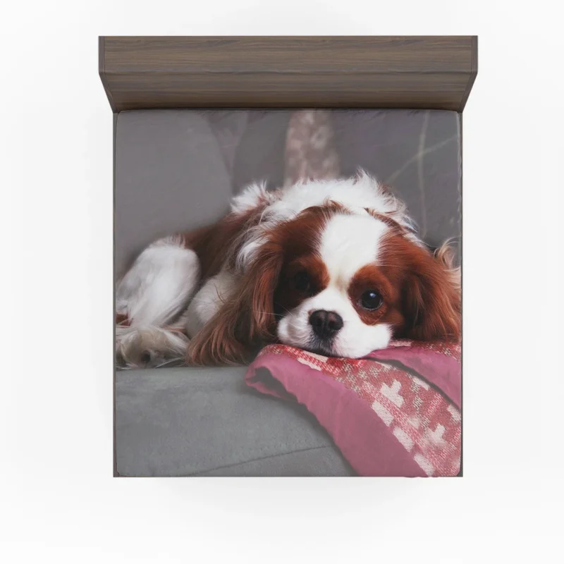 Adorable Quartet of Puppies: King Charles Spaniels Fitted Sheet