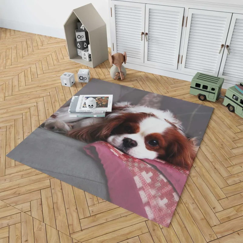 Adorable Quartet of Puppies: King Charles Spaniels Floor Rug 1