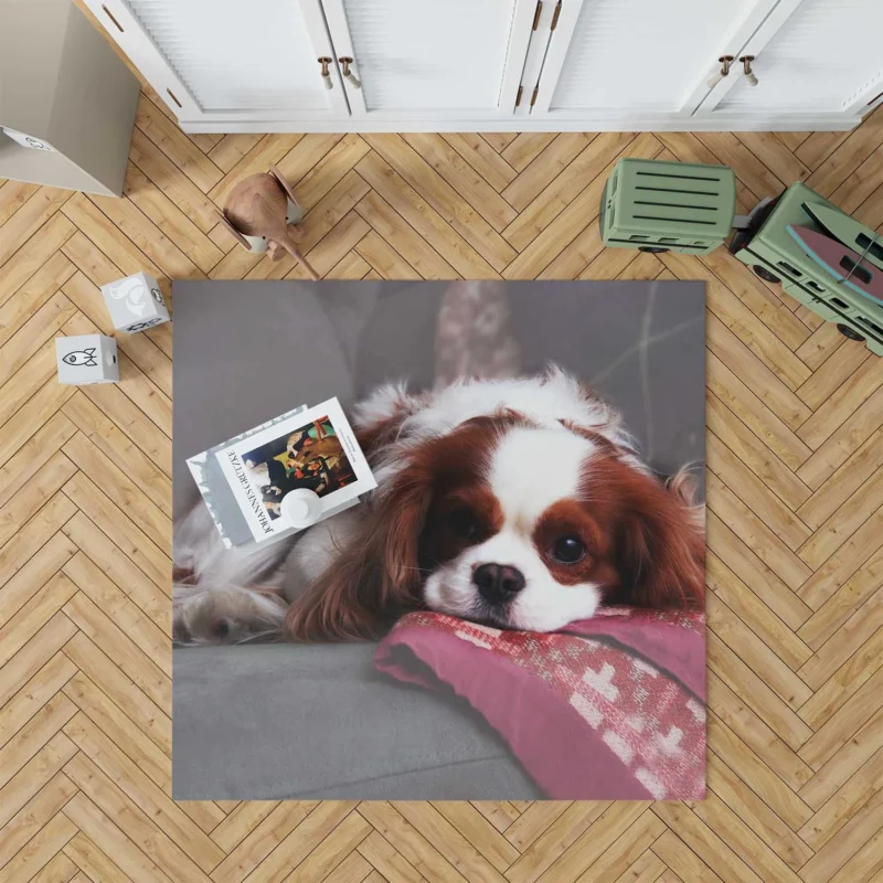 Adorable Quartet of Puppies: King Charles Spaniels Floor Rug