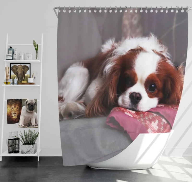 Adorable Quartet of Puppies: King Charles Spaniels Shower Curtain