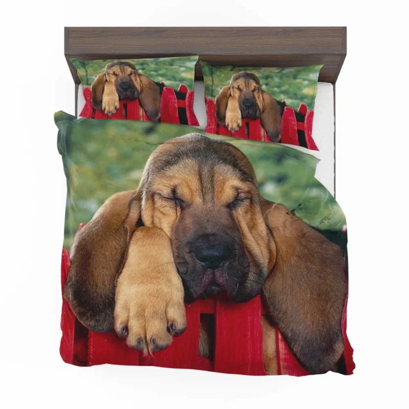 Adorable Sleeping Bloodhound Puppies: Bloodhound Bedding Set 1