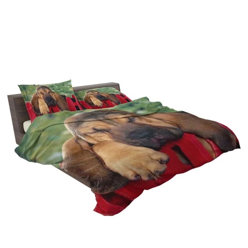 Adorable Sleeping Bloodhound Puppies: Bloodhound Bedding Set 2